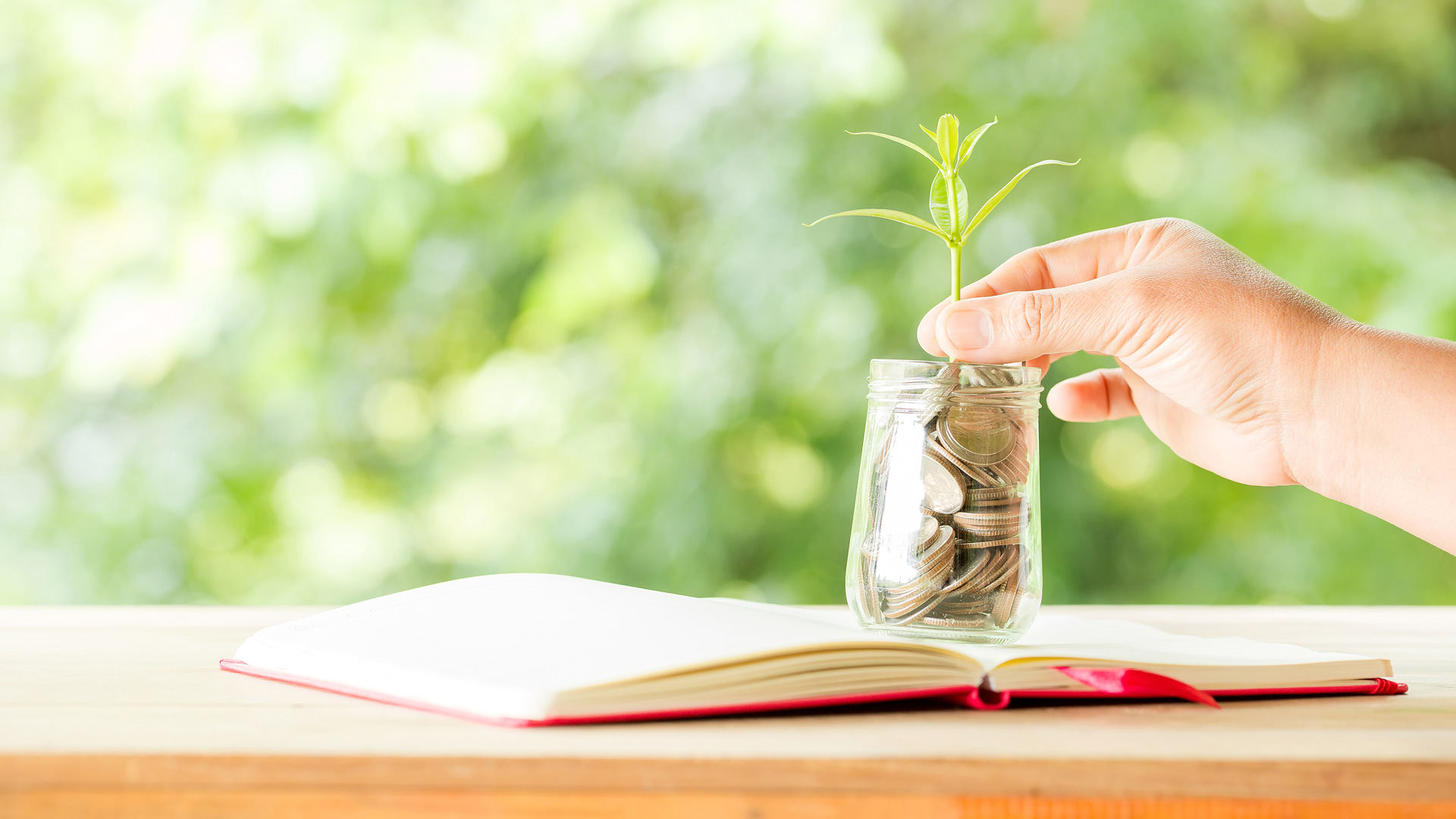 Hand picks up a plant growing out of a pot of coins, with an open book in the foreground.