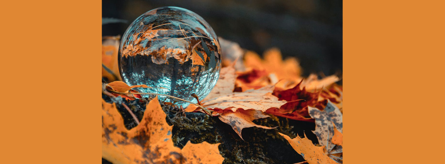 doorzichtige bol met herfstbladeren